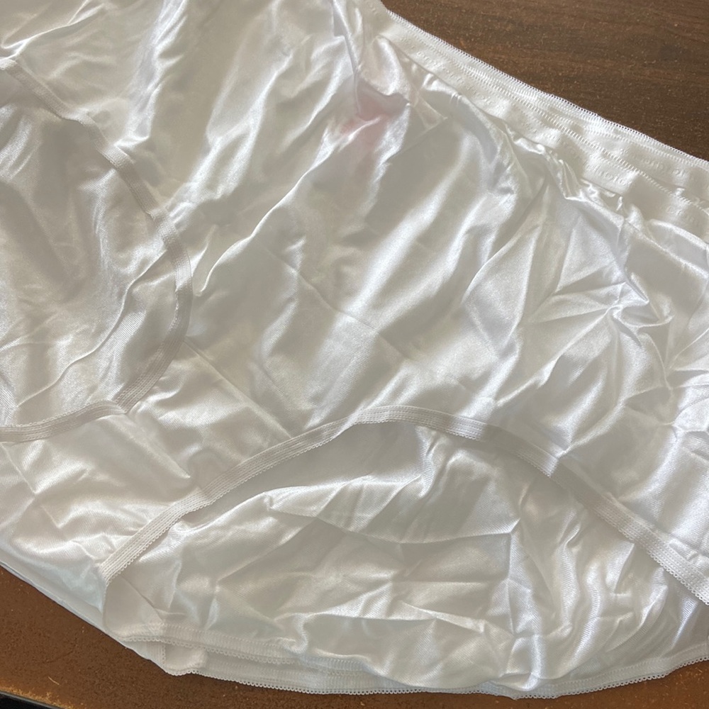 New 5pk Nylon Silky brief Panties size 14 5X 6X Comfort Choice Woman Within